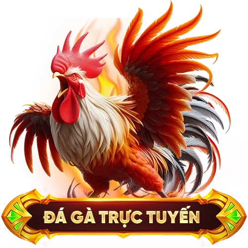 đá gà trực tuyến W888